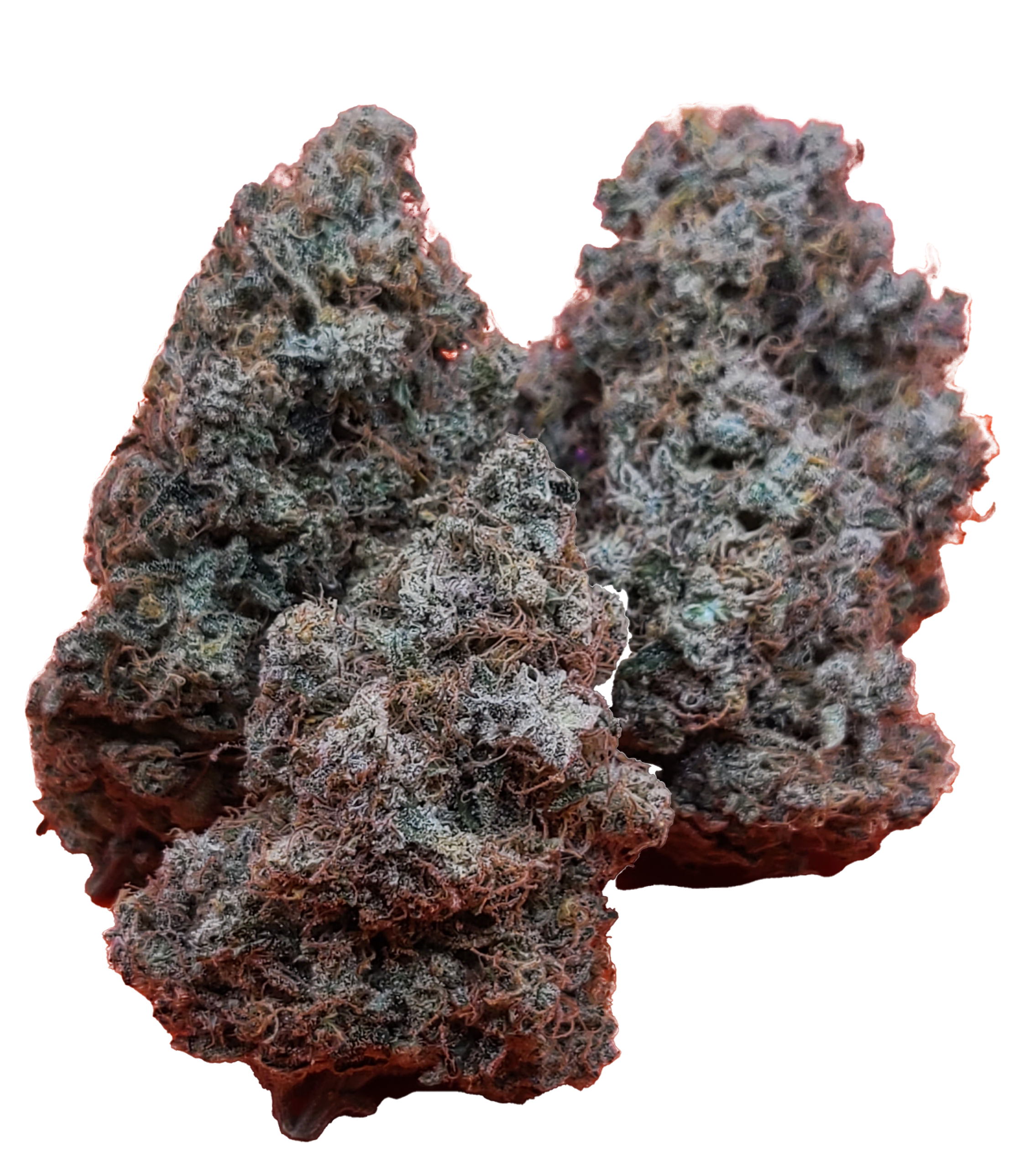 Victoria Cannabis Company : CLEMENTINE (MANDARIN SUNSET)