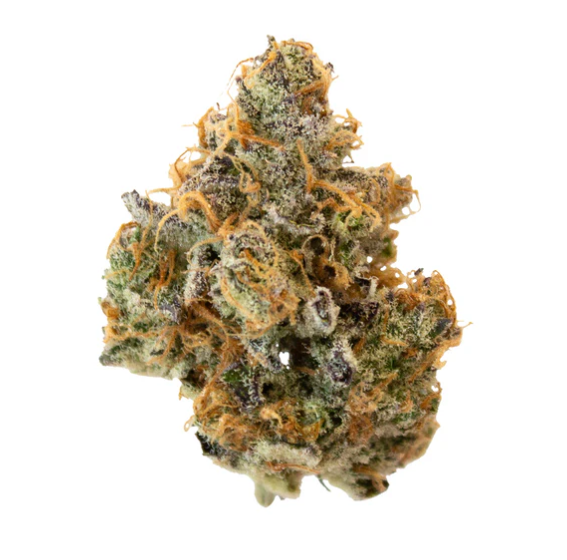 Pineapple Buds : Hawaiian Pineapple