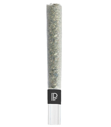Pistol And Paris : Pink Goo Bubble Hash Infused Pre-Roll (1pk)