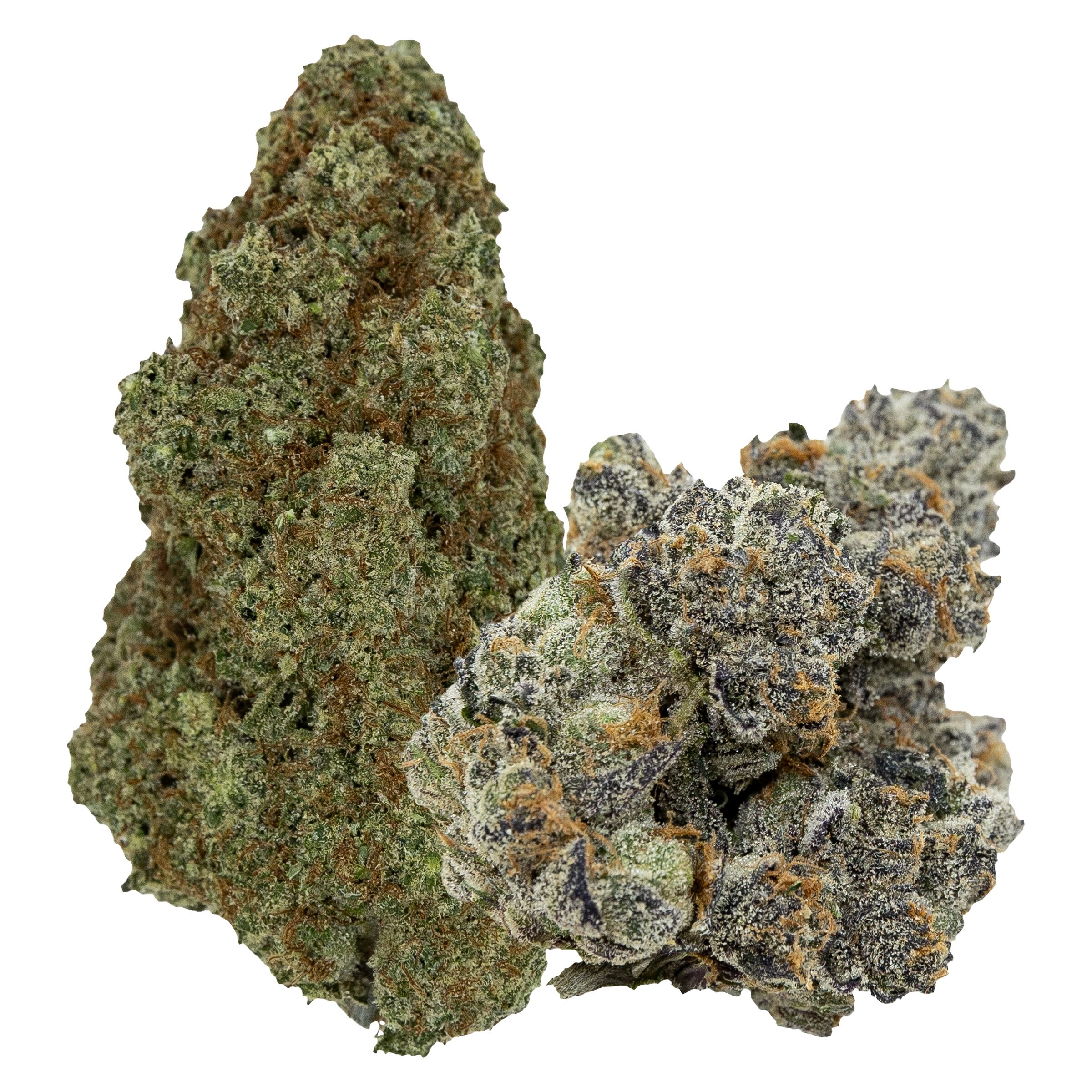 Pistol And Paris : Flavours-Mango Sour & Gastropop Variety Pack Lto