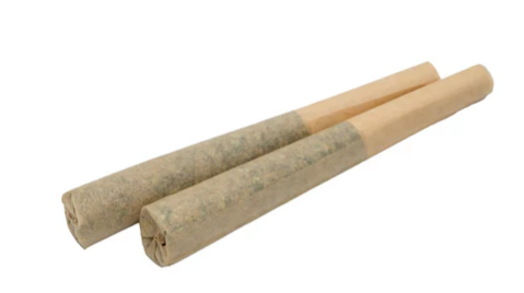 Miss Infused : Amplified THC Bubble Hash Infused Pre-Rolls - Miss Infused : Amplifiedthc Bubble Hash Infused Pre-Rolls (2x0.5g)
