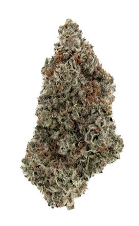Kootenay Cultivar : Persy Stash O.J. Zainbow