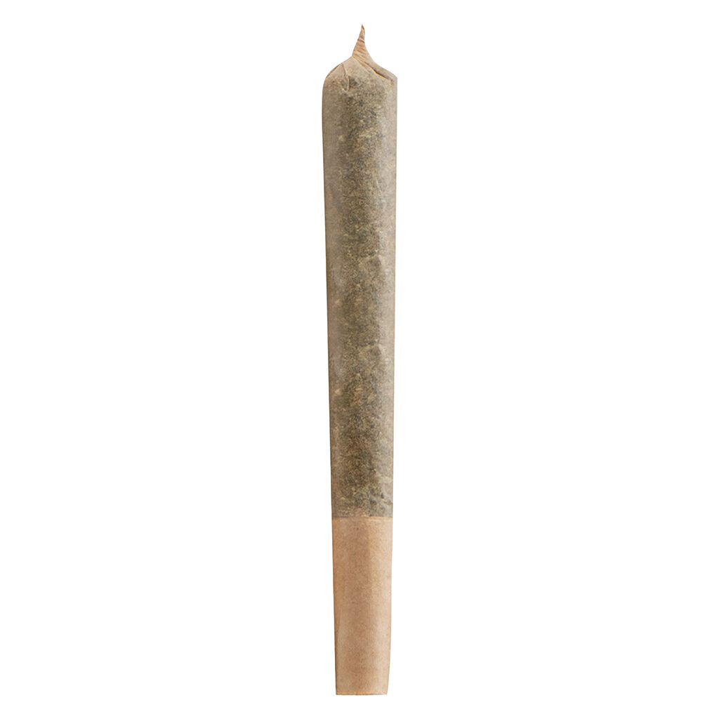 Contraband - Glue99 Pre-Roll - Hybrid 1G