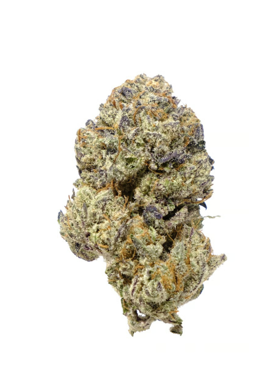Pistol and Paris : NOTORIOUS (FACE OFF OG X SFV OG X OG)