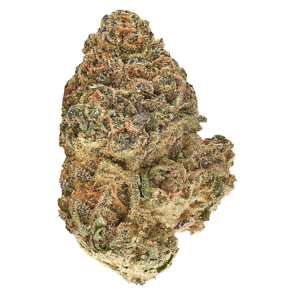 Redecan : Animal Rntz