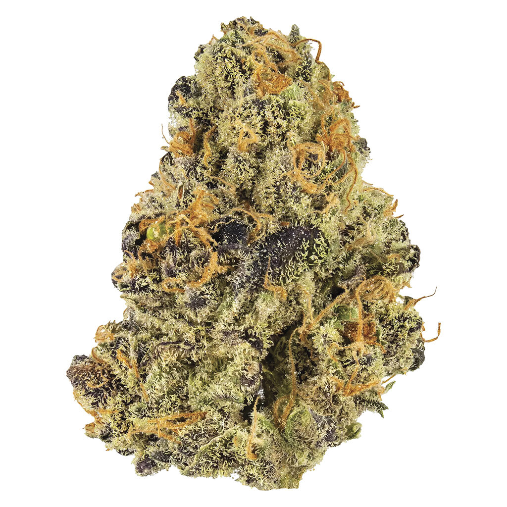 Potluck - Blueberry Tart - 7G
