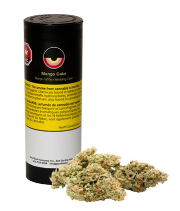 Good Buds : Mango Cake
