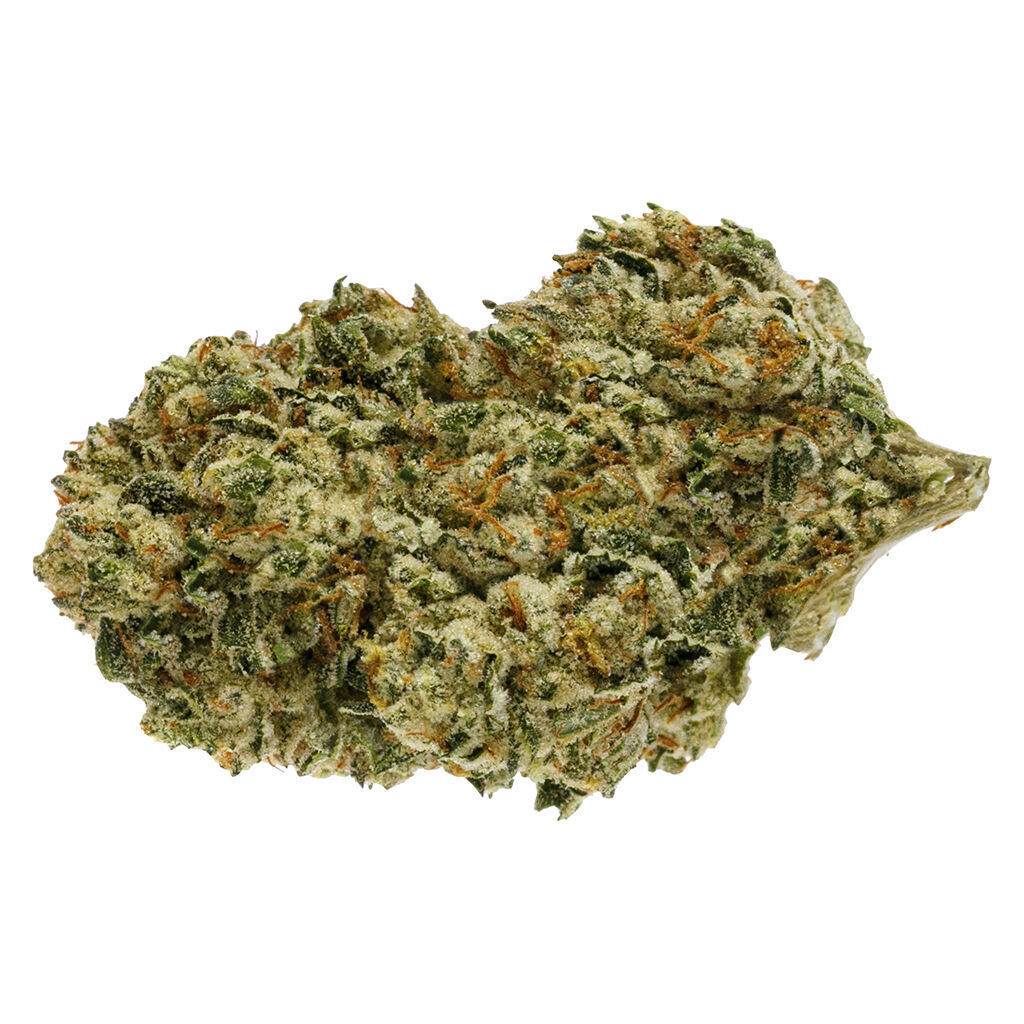 Pure Sunfarms : Backcross Mints (28g)