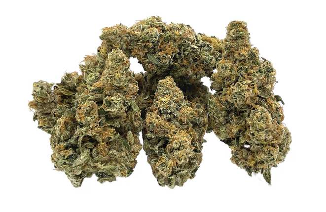 Trailblazer : Trailblazer Rootbeer #8 Sativa