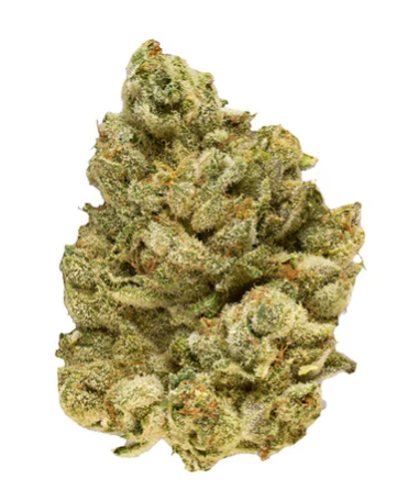 Broken Coast : Emergenz