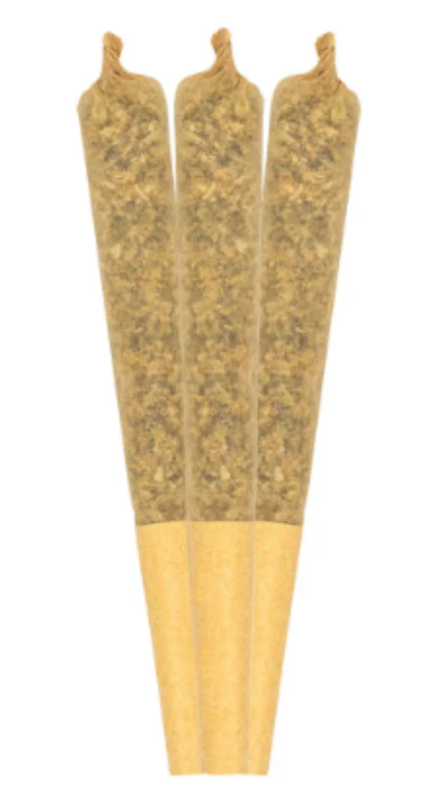 RAD : Tropical Beast Infused Pre-Rolls (3pk)
