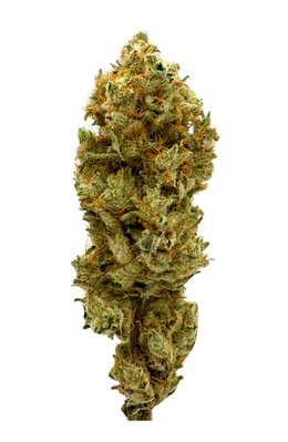 Bc Weed Co. : Honey Bananas