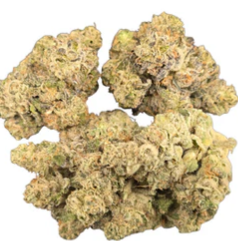 Socio : Gypsy Soap