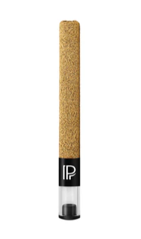 Pistol And Paris - Golden Boot Kief Coated Infused Pre-Rolls Lto - Pistol And Paris : Golden Boot Kief Coated Infused Pre-Roll Lto (1x1.5g)