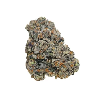 Bc Green : Blue Cookies