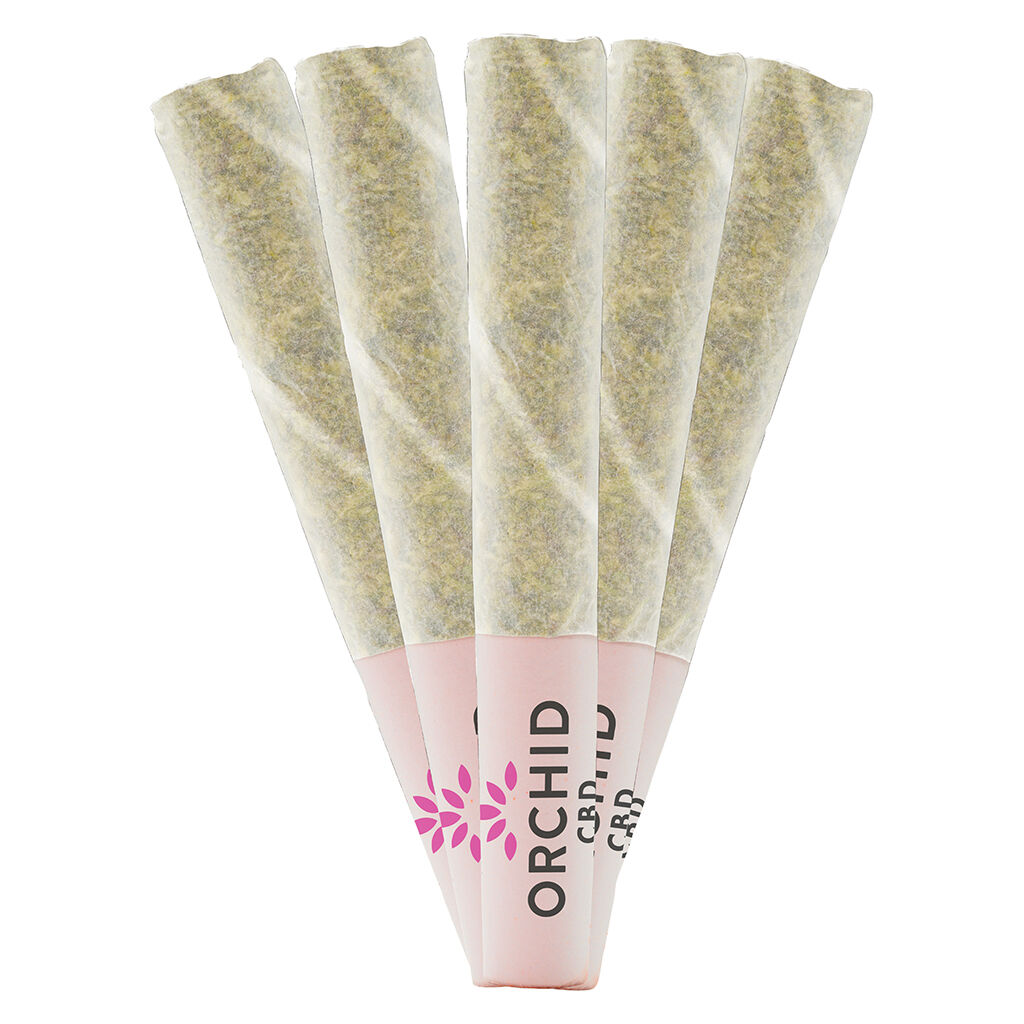 Orchid CBD : CBD Rntz Pre-Rolls (5pk)