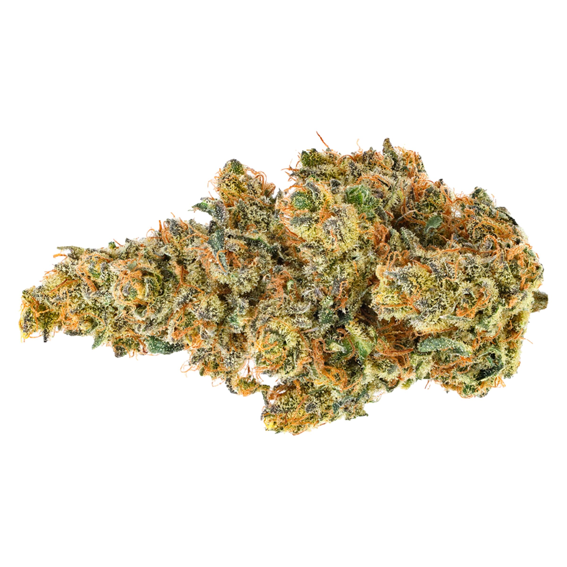 Coast Mountain Cannabis : BC ORGANIC DANCEHALL