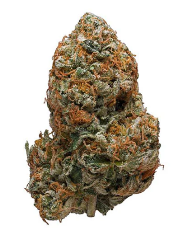 Fort 20 Farms Inc. : BC Key Moh Kush Smalls (14g)
