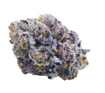 Valhalla Flwr : Rainbow Lava Flower