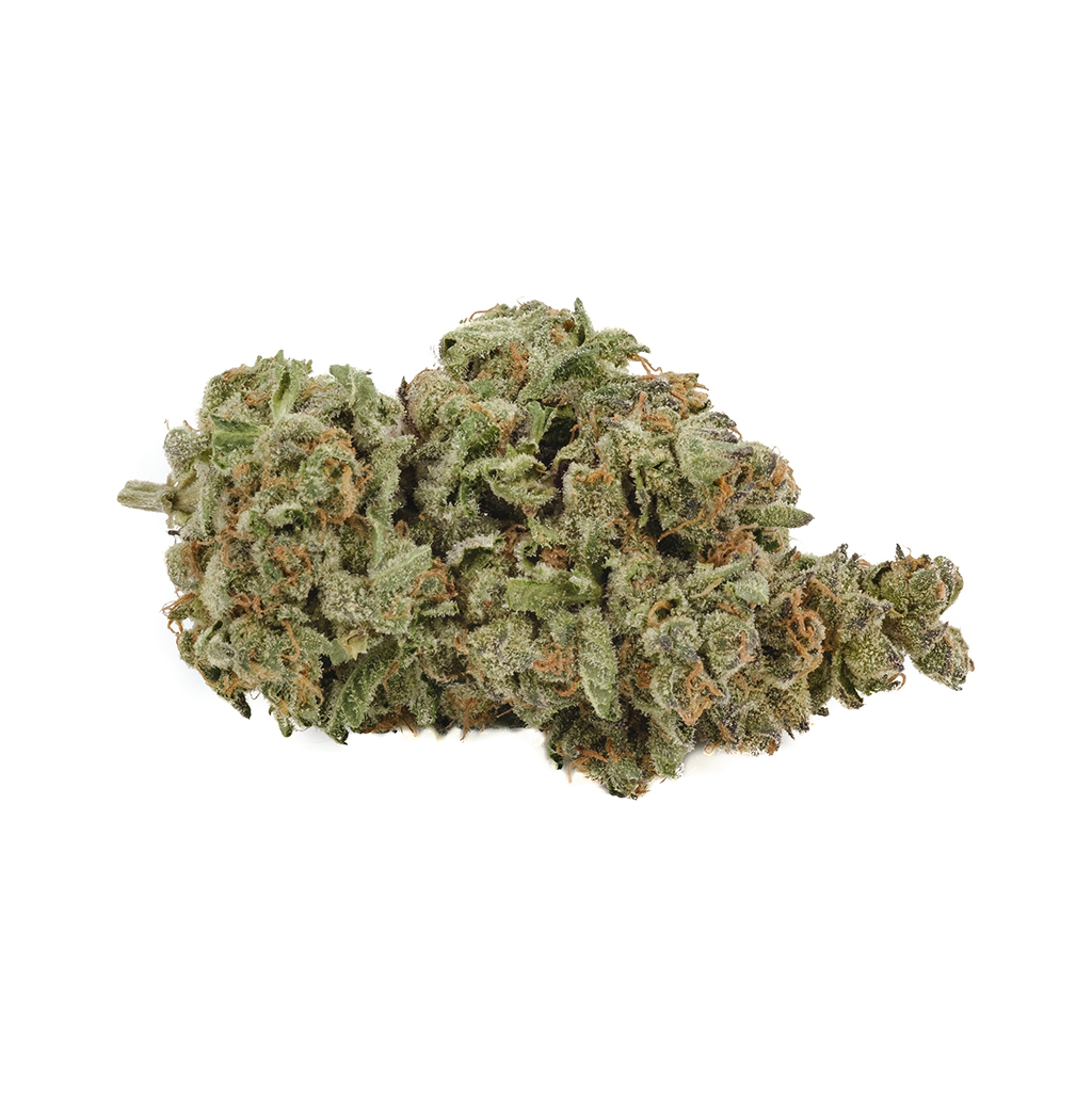 Back Forty - Apple Fritter - Hybrid 28G
