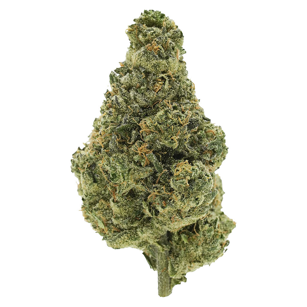 Simply Bare Organic : Bc Organic Lime Drizzle LTO