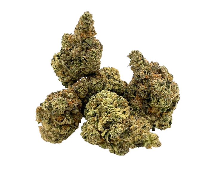 Trailblazer - Trailblazer M*Fia Funeral Indica