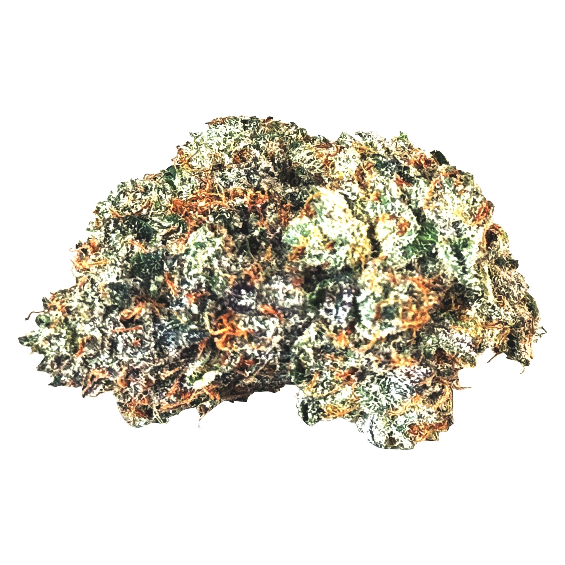 Mtl Cannabis - Gas N' Up - 3.5G