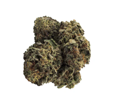 Green Mountain Health Alliance Ltd. : Cherry Punch Dried Flower