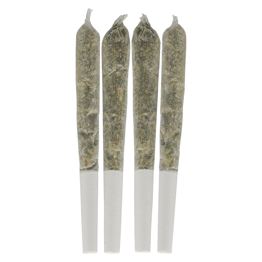Dime Bag : Tropical Pocket Puffs Pre-Rolls (4pk)