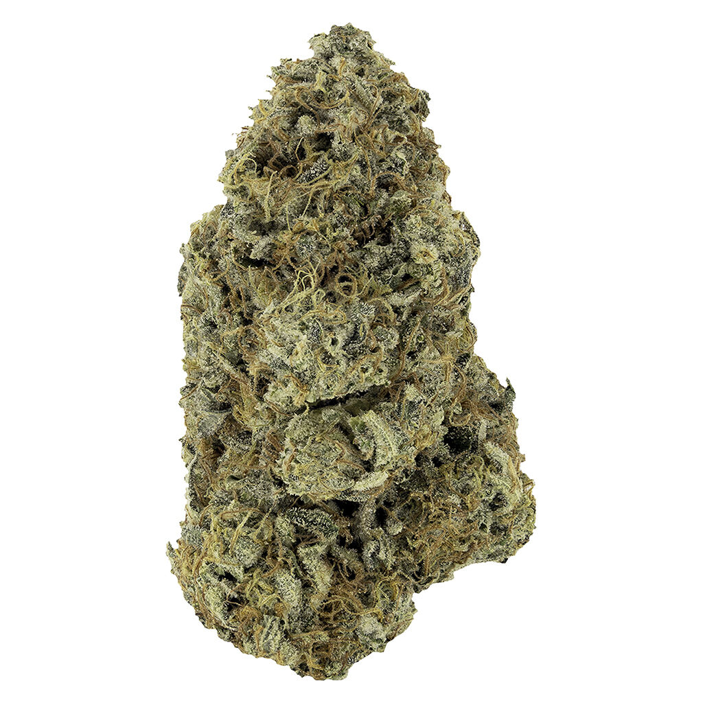 Woody Nelson : Sunset Sherbet Craft Flower