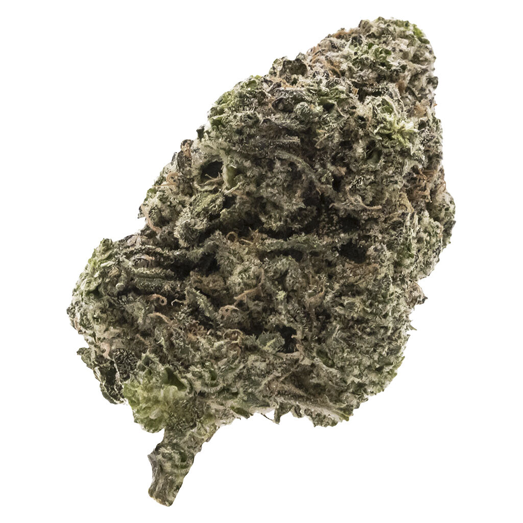 Figr : Jungle Fumes