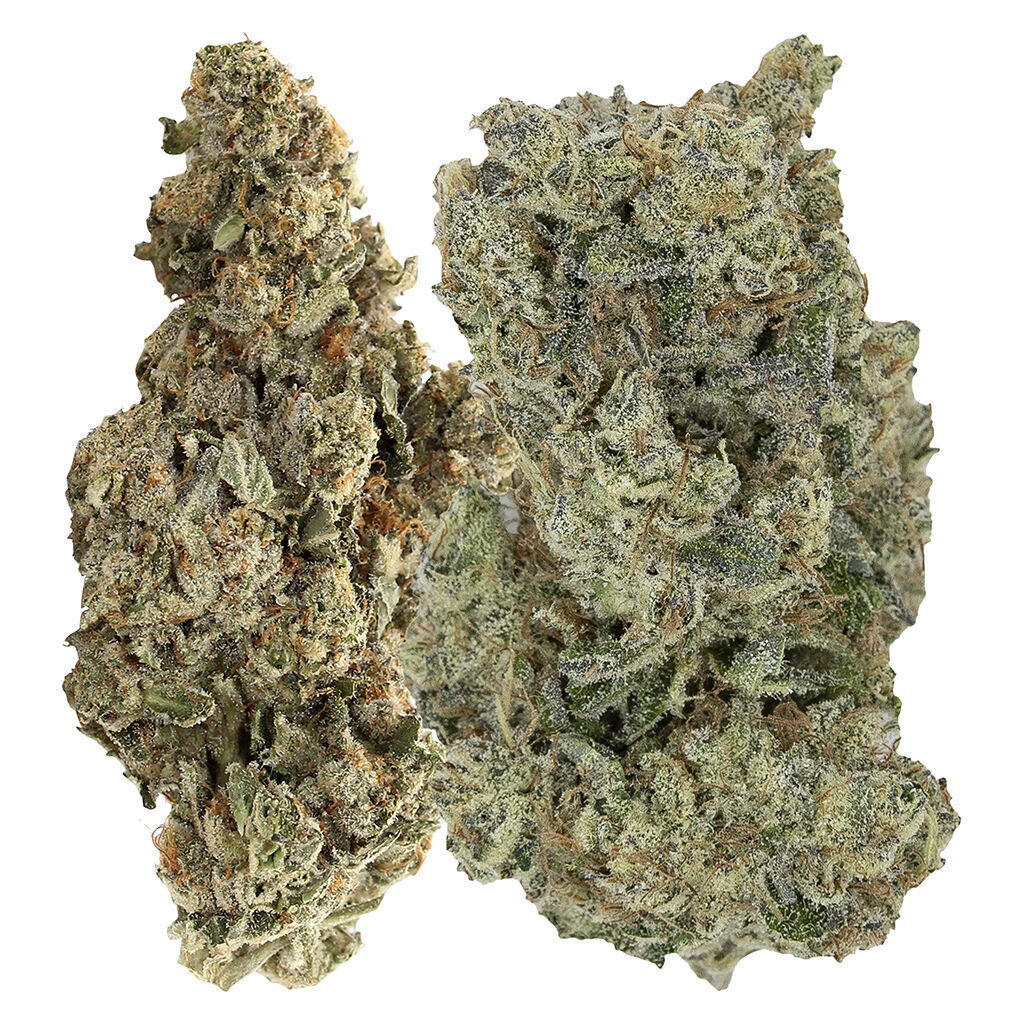 Pistol And Paris : Caramel Fizz And Hawaiian Fanta Variety Pack