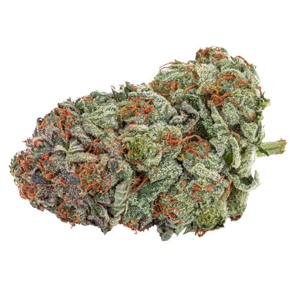TGOD : ROCKSTAR TUNA