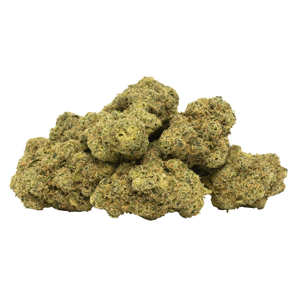 Tweed - Tweed Snowtorious 9.1.K. - 14G