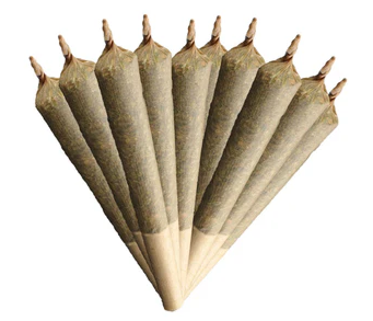 Weed Me : INDICA 20% PLUS PRE-ROLLS (10pk)