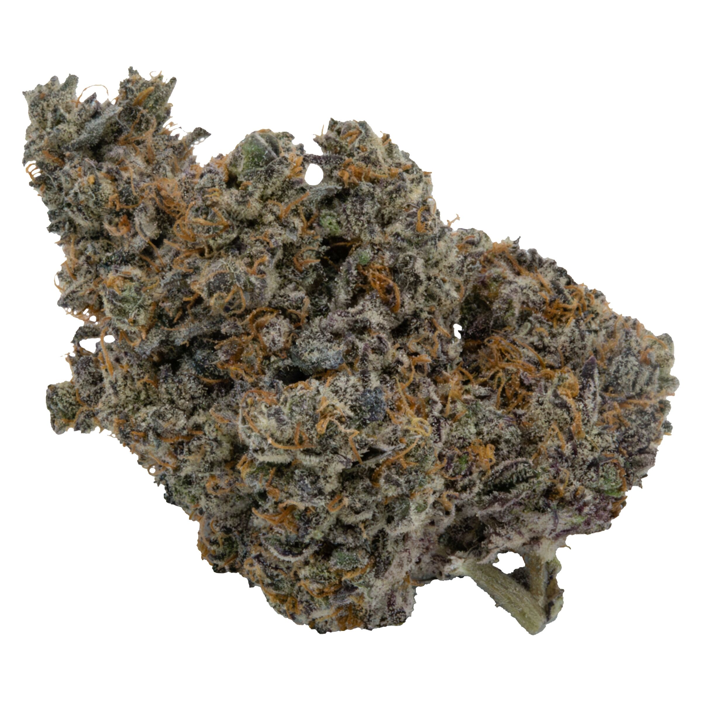 Koots Canna : Ice Burn