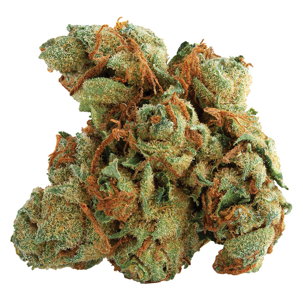 Spinach : TANGERINE TWIST