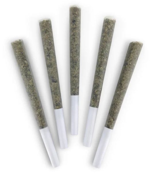 Dealr : Night Arcade Pre-Rolls (5pk)