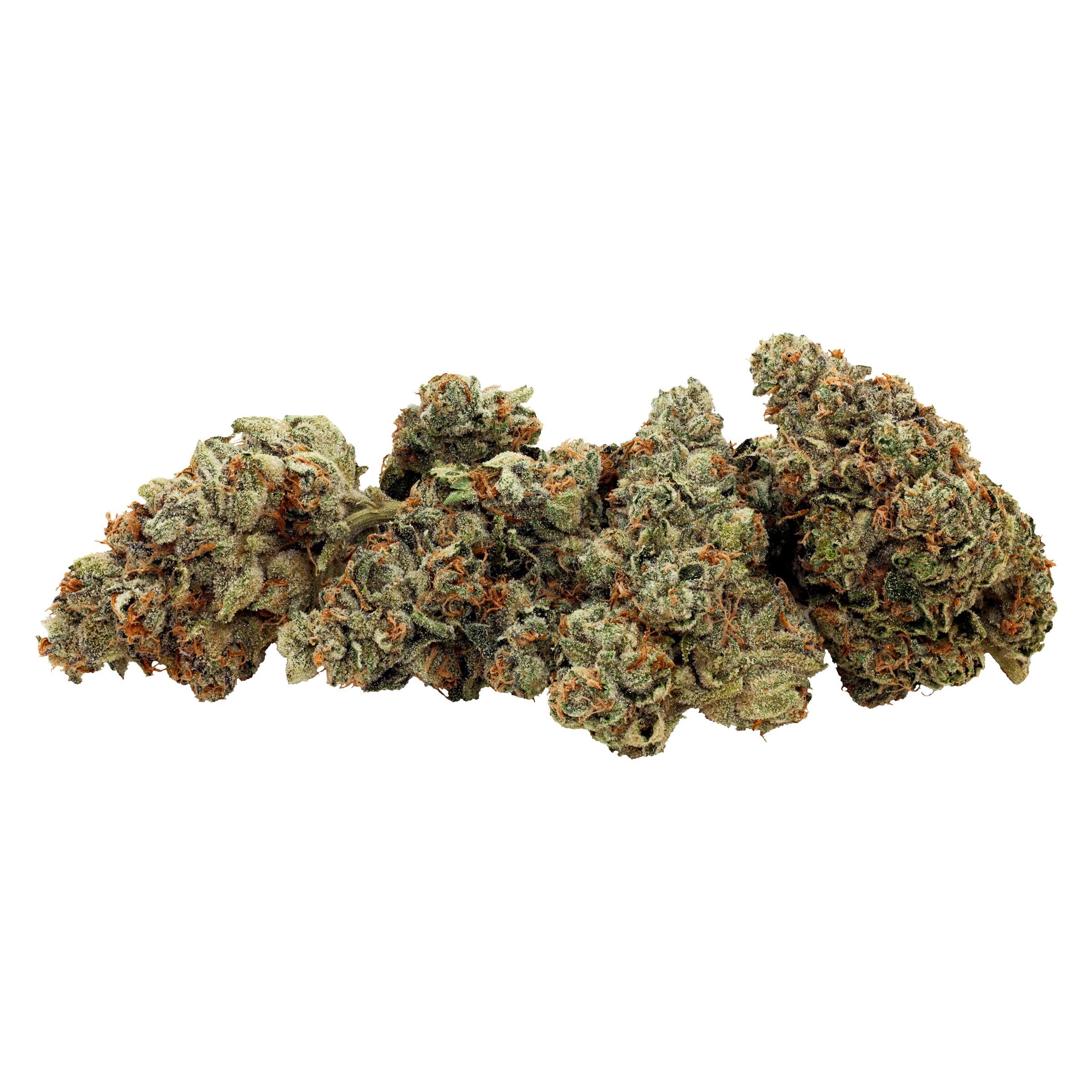 Greenseal : Praline Gelato