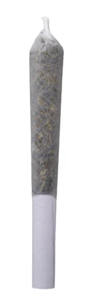 Great Gardener Farms : Barbara Bud Live Rosin Infused Pre-Roll (1pk)