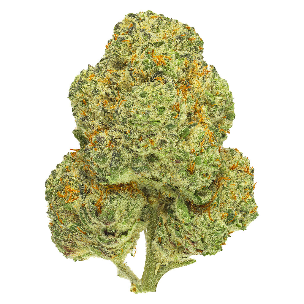 San Rafael '71 : Chemango Kush