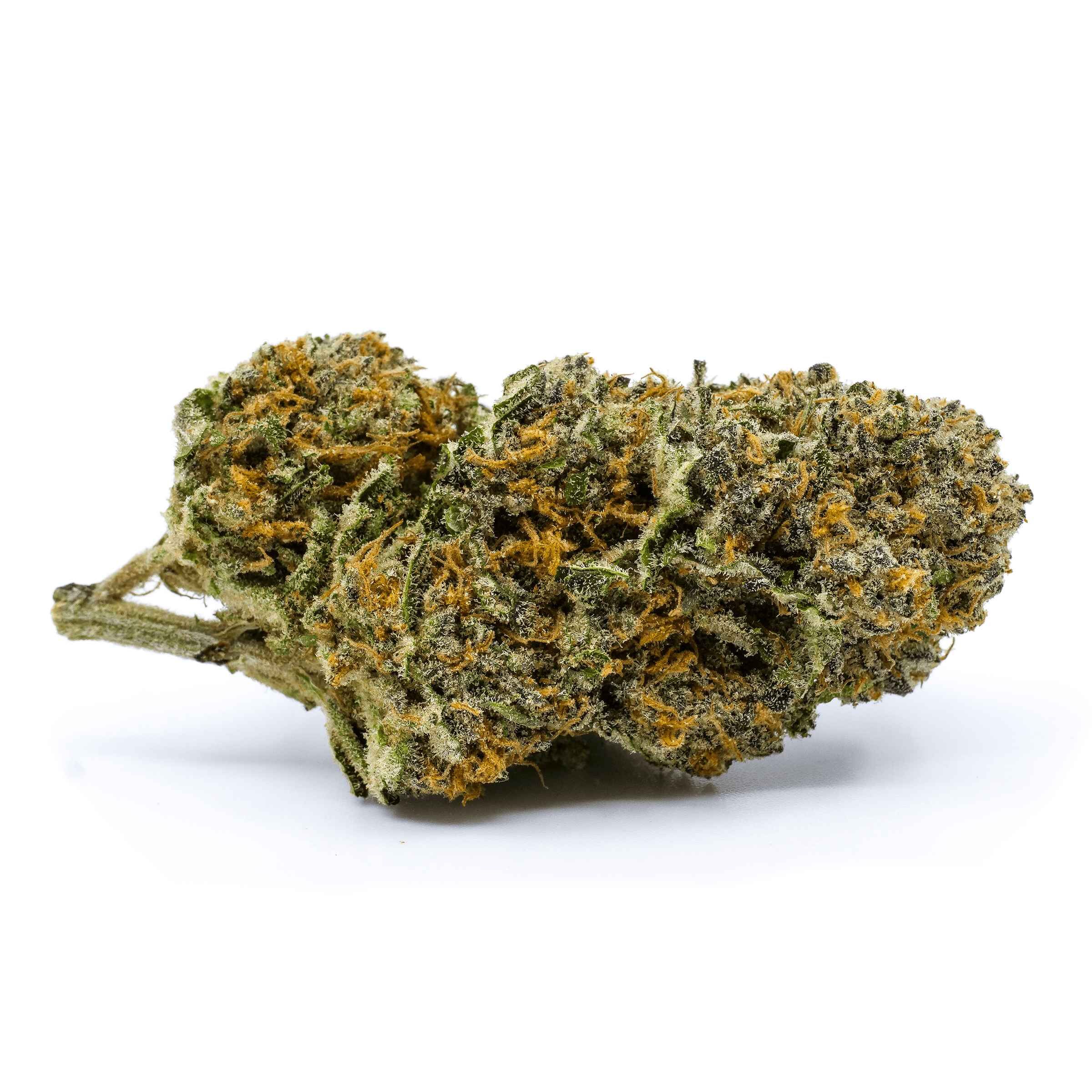 Redecan : Wappa (14g)