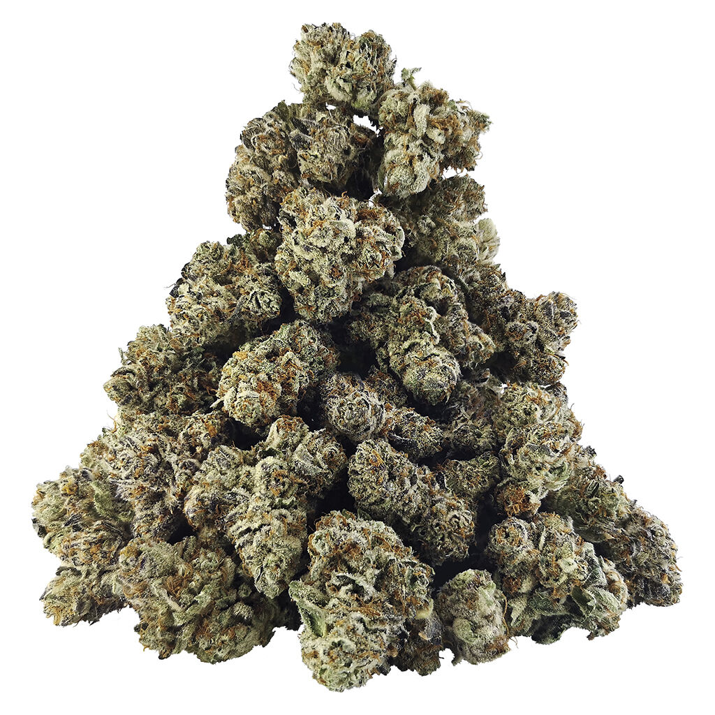 BC OZ : Zlushiez Craft