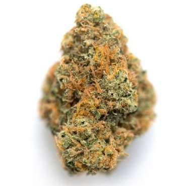 Highly Dutch : Red Pop Rntz