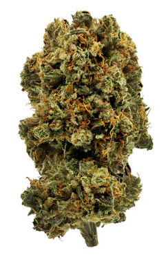 1964 - Blue Dream (28g)
