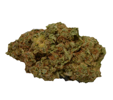 Ripped : Hybrid Dried Flower