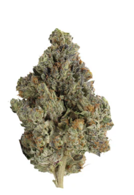 Pistol And Paris : Master Kush Ultra