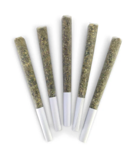 Dealr : Gastopia Pre-Rolls (5x0.5g)