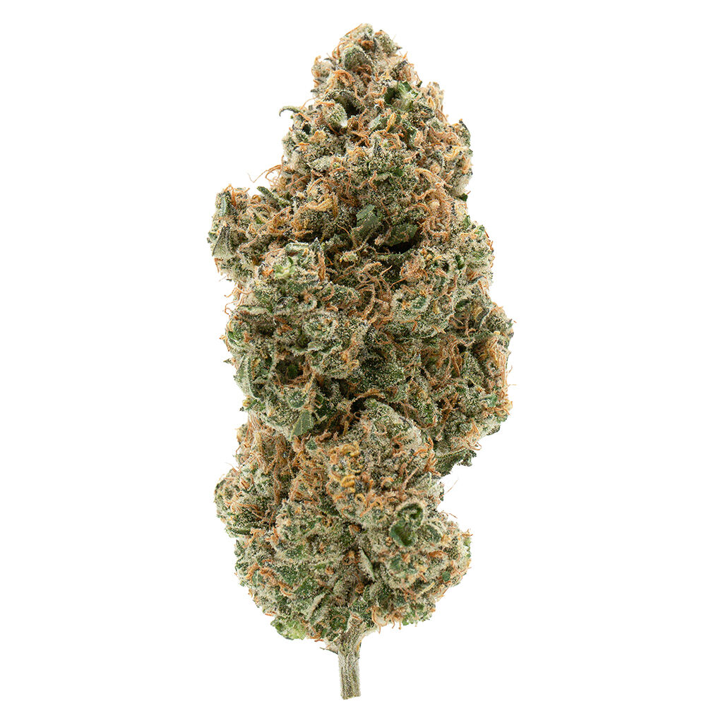 Simply Bare Organic : BC Organic Tangerine Sunrise
