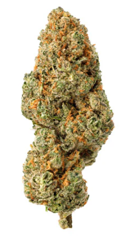 Homestead : Bandwagon Sativa Flower